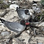 Photo taken by Mark A