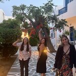 Photo taken by Katie S