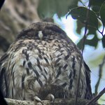 Photo taken by Aparna N