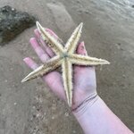 Photo taken by Kayla H