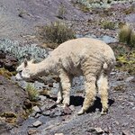 Photo taken by Mariah M