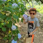 Photo taken by Lana P