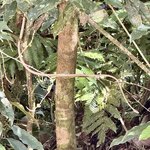 Photo taken by Ben B