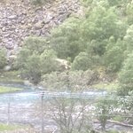 Photo taken by peter r