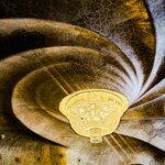 Photo taken by Ashley D