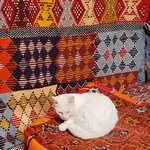 Photo taken by Brenda J