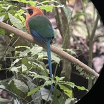 Photo taken by Chakrapani S