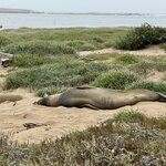 Photo taken by Silvain B