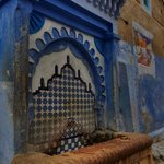 Photo taken by Lisa R