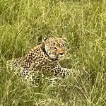 Photo taken by Michael L