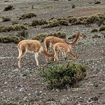 Photo taken by Tom K