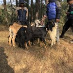 Photo taken by Terje R