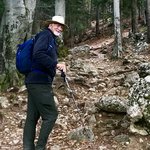 The 11 mile hike up 600 meters and back! Up through the forest  | Photo taken by Anne L