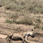 Photo taken by Kristin M