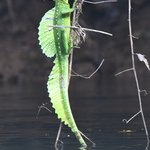 Photo taken by Graeme W