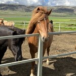 Photo taken by Lisa S