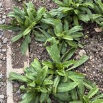 Photo taken by Ben B