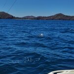 Photo taken by Bryan D