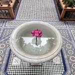 Photo taken by Victoria L