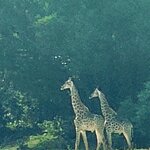 Photo taken by rhonda c