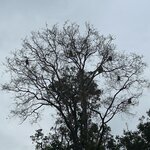 Photo taken by Rob C