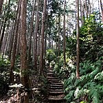 Stairs | Photo taken by Joost S