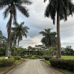 Photo taken by Peter B