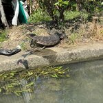 Photo taken by Leslie S