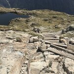 Photo taken by Pia L