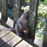 Photo taken by Matteo R