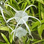 Photo taken by wendi r