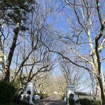 Photo taken by Janie W