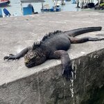 Photo taken by Mary K