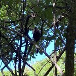 Photo taken by Joy E