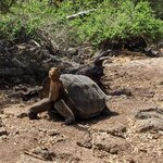 Photo taken by Jennifer A