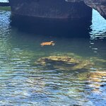 Photo taken by Lisa P