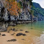 Photo taken by Bianca C