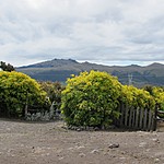 Photo taken by Marcia G