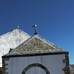 Photo taken by Dee C