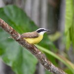 Photo taken by Joseph P