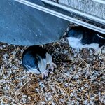 Photo taken by Daniel S