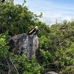 Photo taken by mimi s