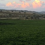 Photo taken by Allyson A