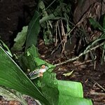 Photo taken by Linda P