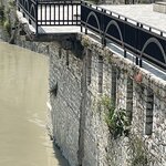 Photo taken by Christine R