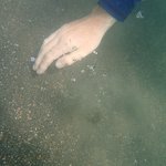 Photo taken by Graeme W