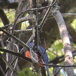 Photo taken by Kristen L