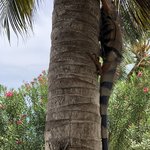 Photo taken by Juliette S