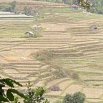 Photo taken by sarah p