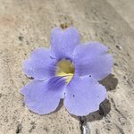 Photo taken by katie u